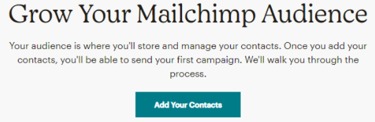 如上所述在Mailchimp中创建受众。